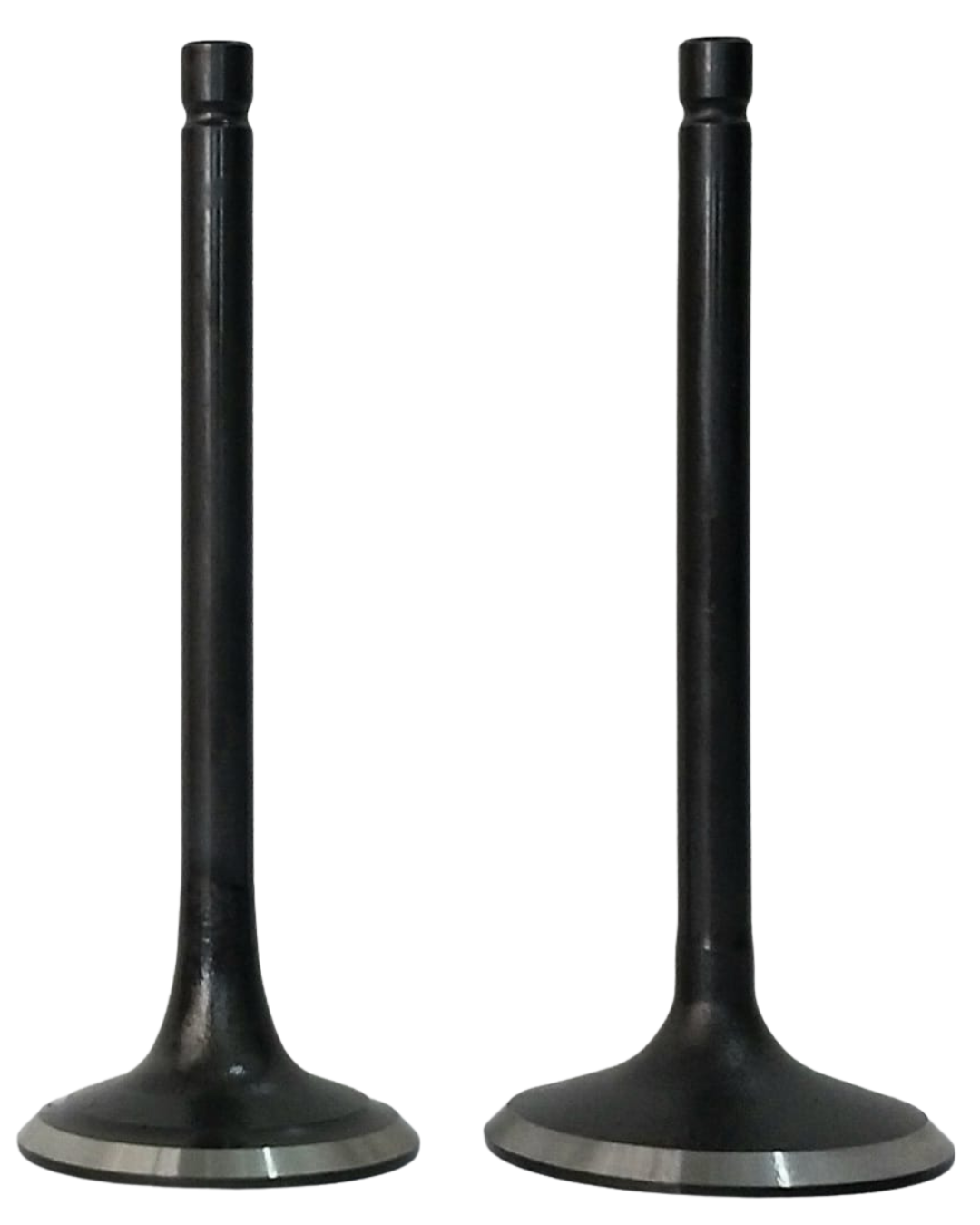 CONJUNTO DE VALVULAS 12.000